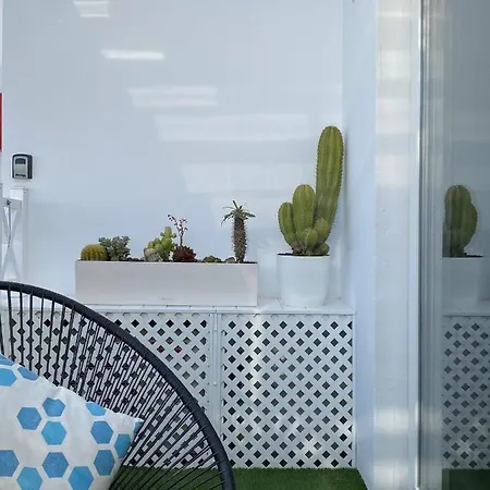 Flower Pool Apartment