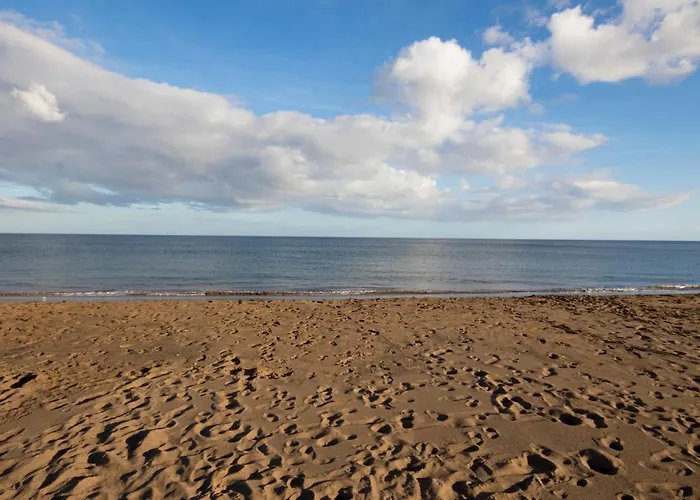 아파트 Flower Pool 플라야 온다